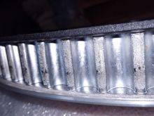 Notice the top of the teeth