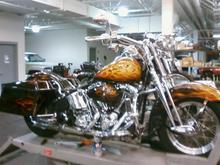 HARLEYS