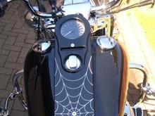 spider king (10)