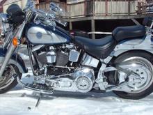 BABY Left Side Profile