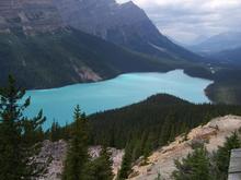 Peyto Lake, Alberta