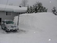 frontyard pile