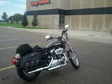 Apol's HD. Alexandria, MN