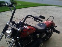 IMAG0693 wild 1 12 z bars