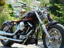 My Softail
