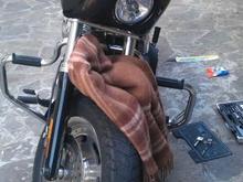 FXDF Arlen ness fairing I