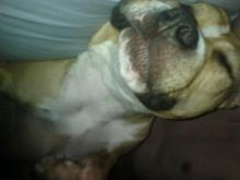 sleepy time