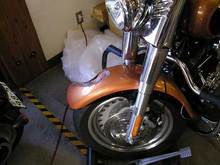 wreckedbike2