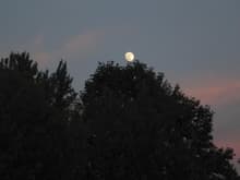 backyard moonrise