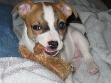 Daisy Mae