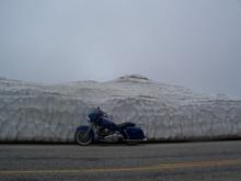 UT39 @ Monte Cristo, Northern Utah, May 24th, 2009 (2)