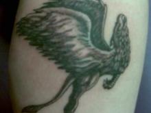 griffin tattoo