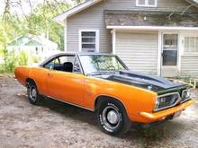 barracuda