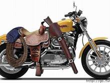 Harley Horse