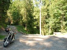 Forest behind my home valley