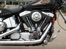 softail2