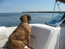 Boating Dag