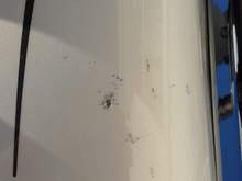 Paint Repair