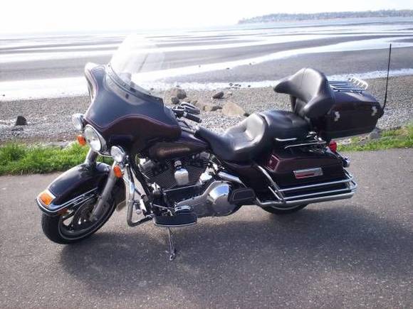 Picture from the day I bought her