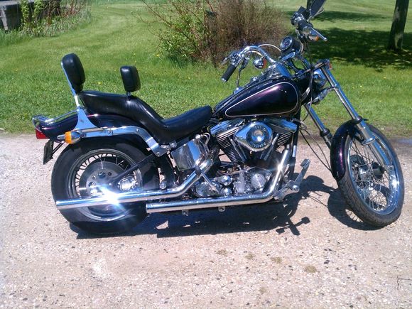 Just got a bath...after sitting in the garage for about 10 years.