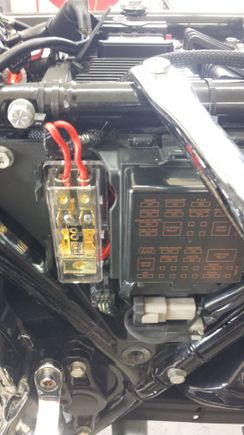 dbLink Power Distribution block located at fuse box on 2012 FLHTK.