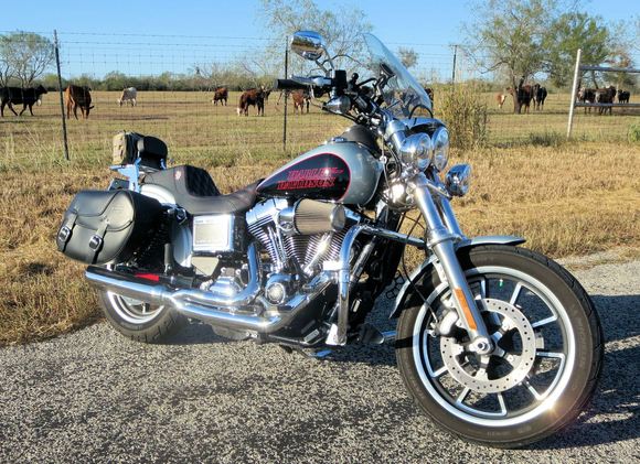 2014 Harley-Davidson FXDL
Stage 1 w/ D&D Fat Cat Exhaust, Lucky Daves Seat
