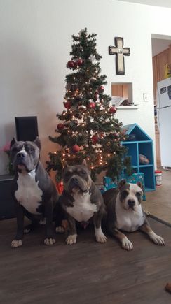 Woofers available in 12 10 8 all in stock