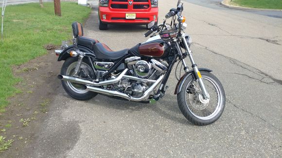 1984 FXRDG