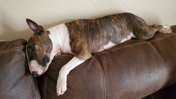 Still lazy as ever too.