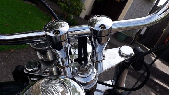 Panhead style risers.