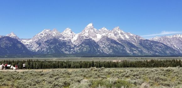 How can you not like that