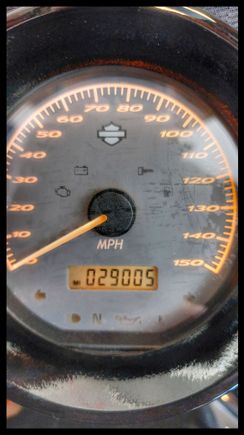 The Night Rod could see 30,000 miles this year, if the weather would stay like today. 