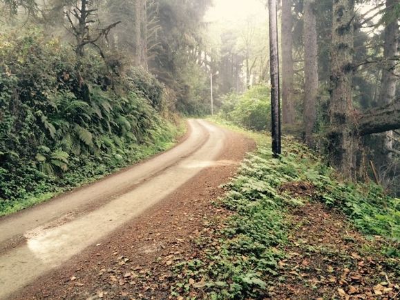 This is the North end of the loop, just before it turns back to pavement.