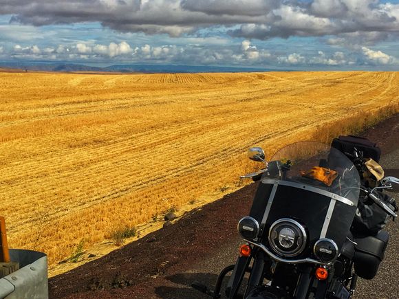I continued on solo and climbed out of the Columbia River gorge into the wheat fields of central Oregon on Highway 97.