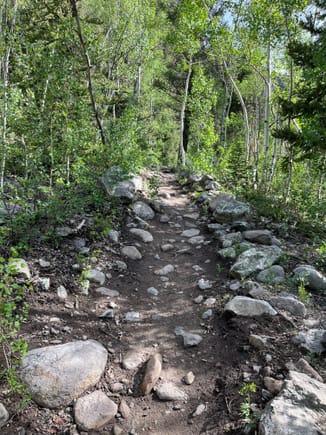 Trail followed a rushing stream coming down the mountain 