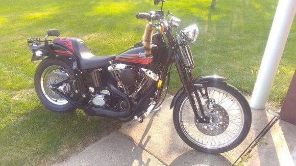Going out for a ride...