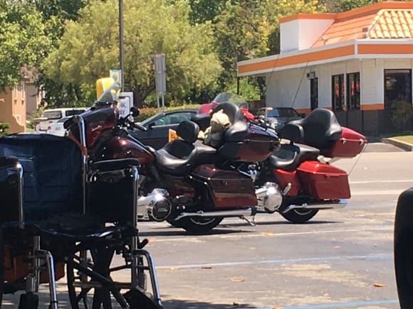 Stopped at Mc Donalds today, for a soda.  These guys rolled up.  Looks like one has a wise old companion to ride with.