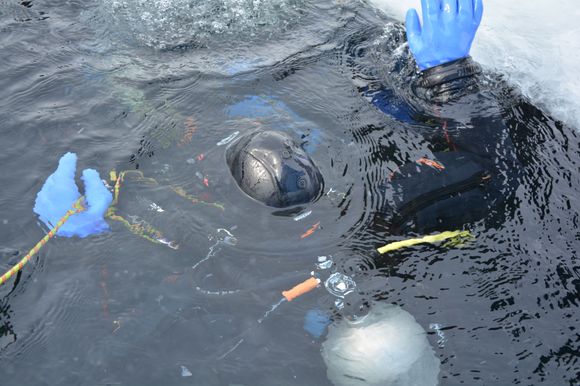 coming up from first dive