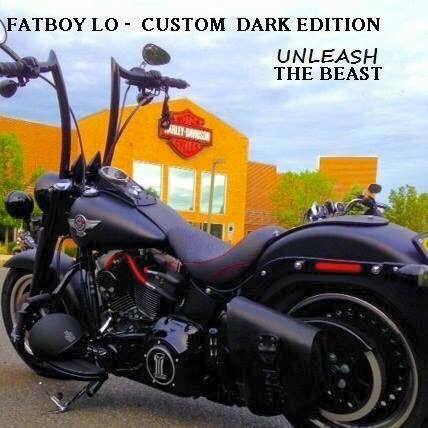 Thank You BRS Customs for a killer design on my Fatboy's Custom 16" Apehangers and custom 2"  spike risers. They set the bike apart from the rest. Kudos on a design well done to my spec's..