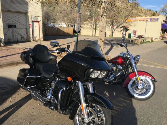 11 inch Freedom Shields