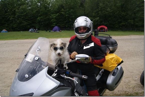 Moto camping in NH