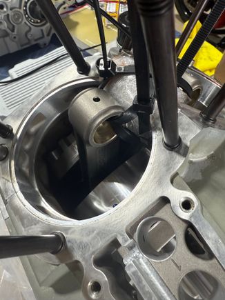 Darkhorse competition rods