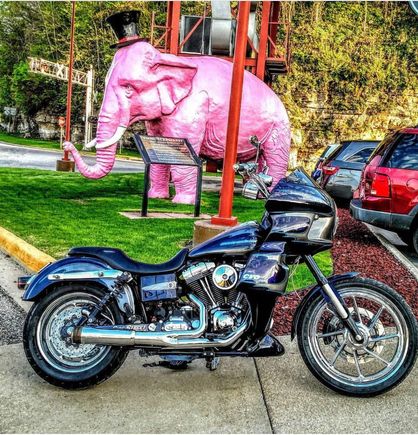 Perfect size to compliment the dyna and not as long as my fatcat which goes past the swing arm