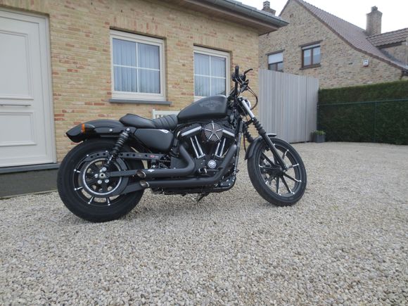 My Iron 883 just a week old now