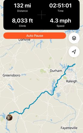 curvy-assed ride TO lunch