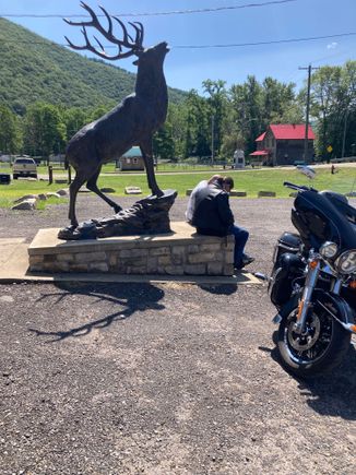 The bronze elk at the Driftwood Saloon in Driftwood PA.

268 miles through elk country and not one dam elk sightp