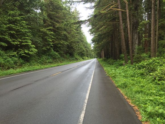 The Rain Forest. I missed most of the Rain, but but all of the Forest. It is a really cool road, but the view is the trees for most of it.