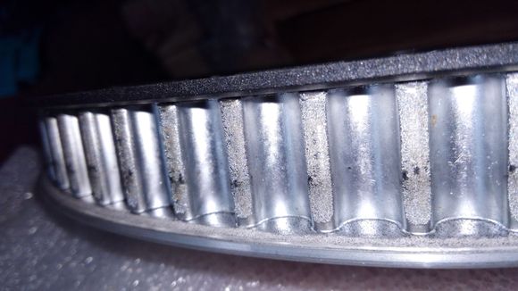 Notice the top of the teeth