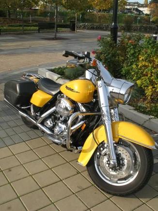 added 1959 front fender trim, 2009 heritage front lower fender trim. added head light trim cover. added flamed fork shields. added  HD Vivid floating rotors, chrome lower forks