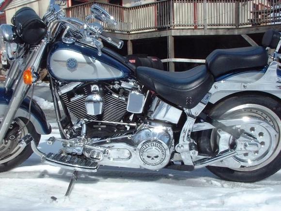 BABY Left Side Profile